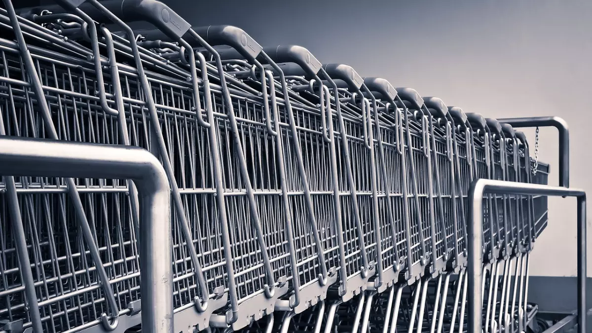 A row of shopping carts in a parking lot.